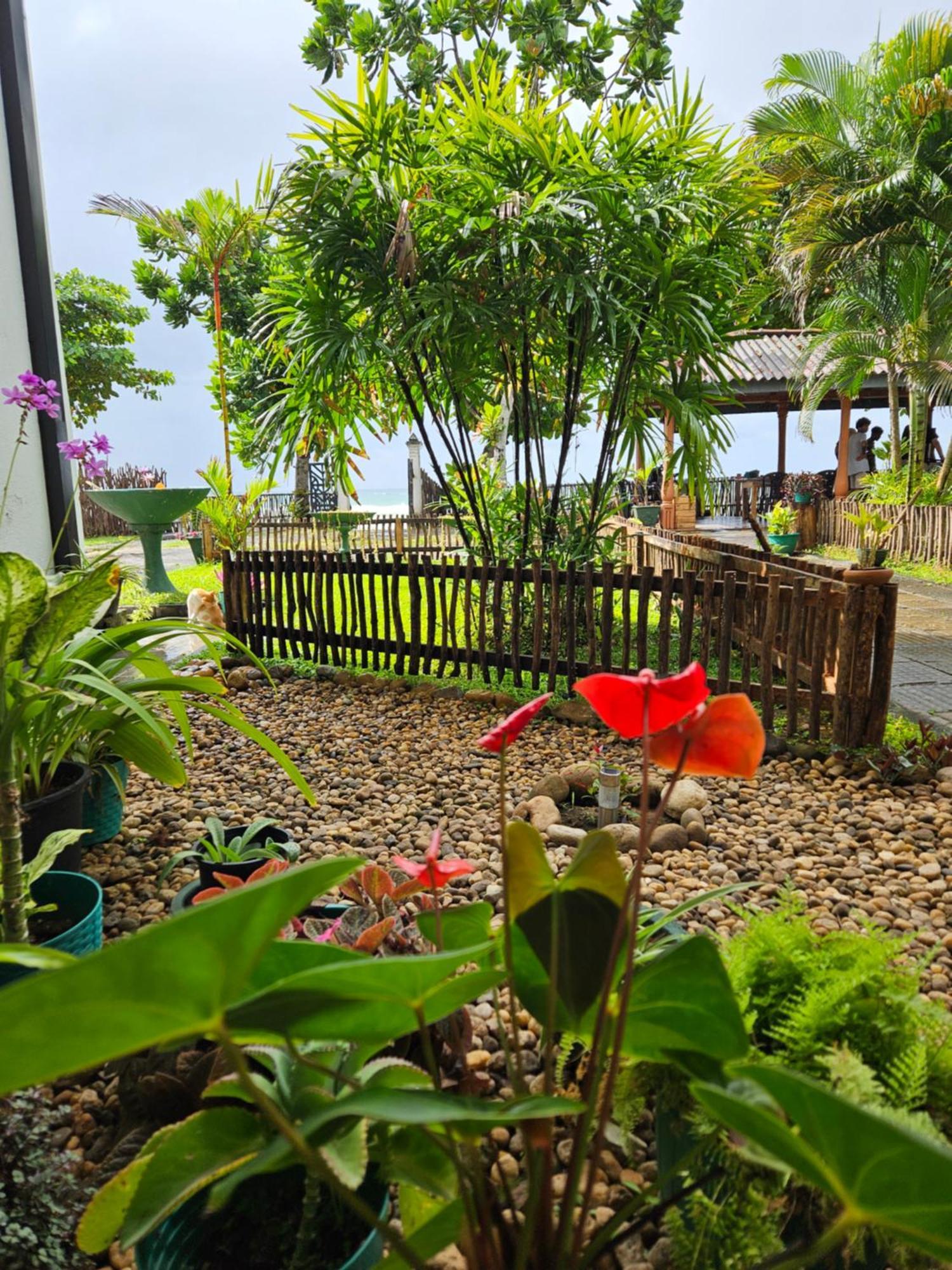 Balance Beach Resort Диквела Екстериор снимка