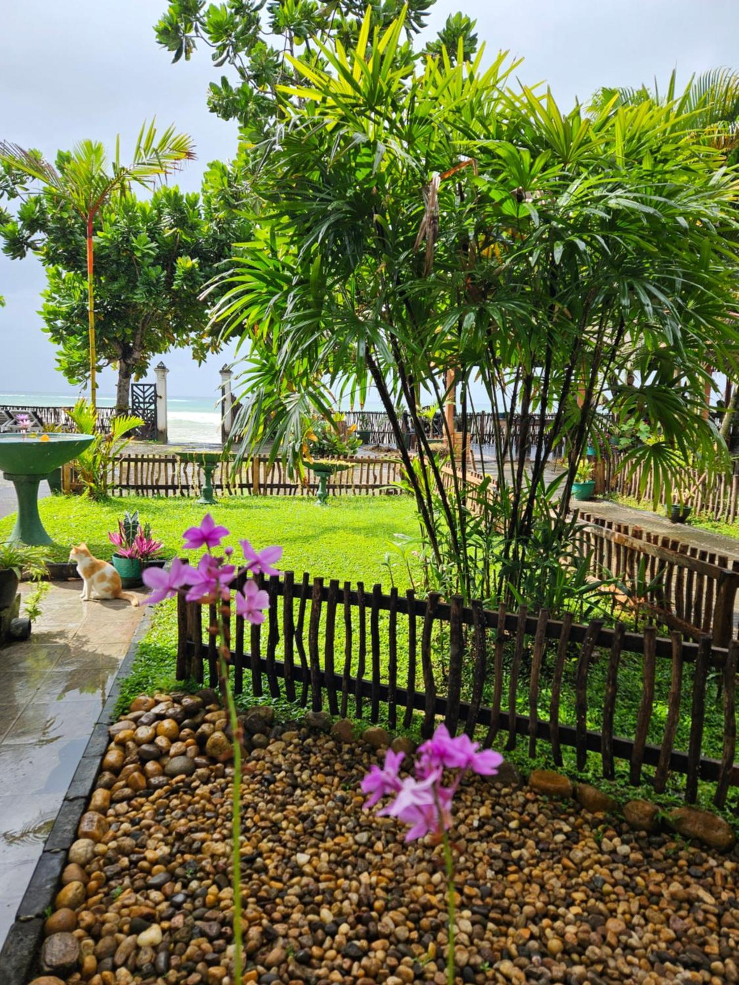 Balance Beach Resort Диквела Екстериор снимка