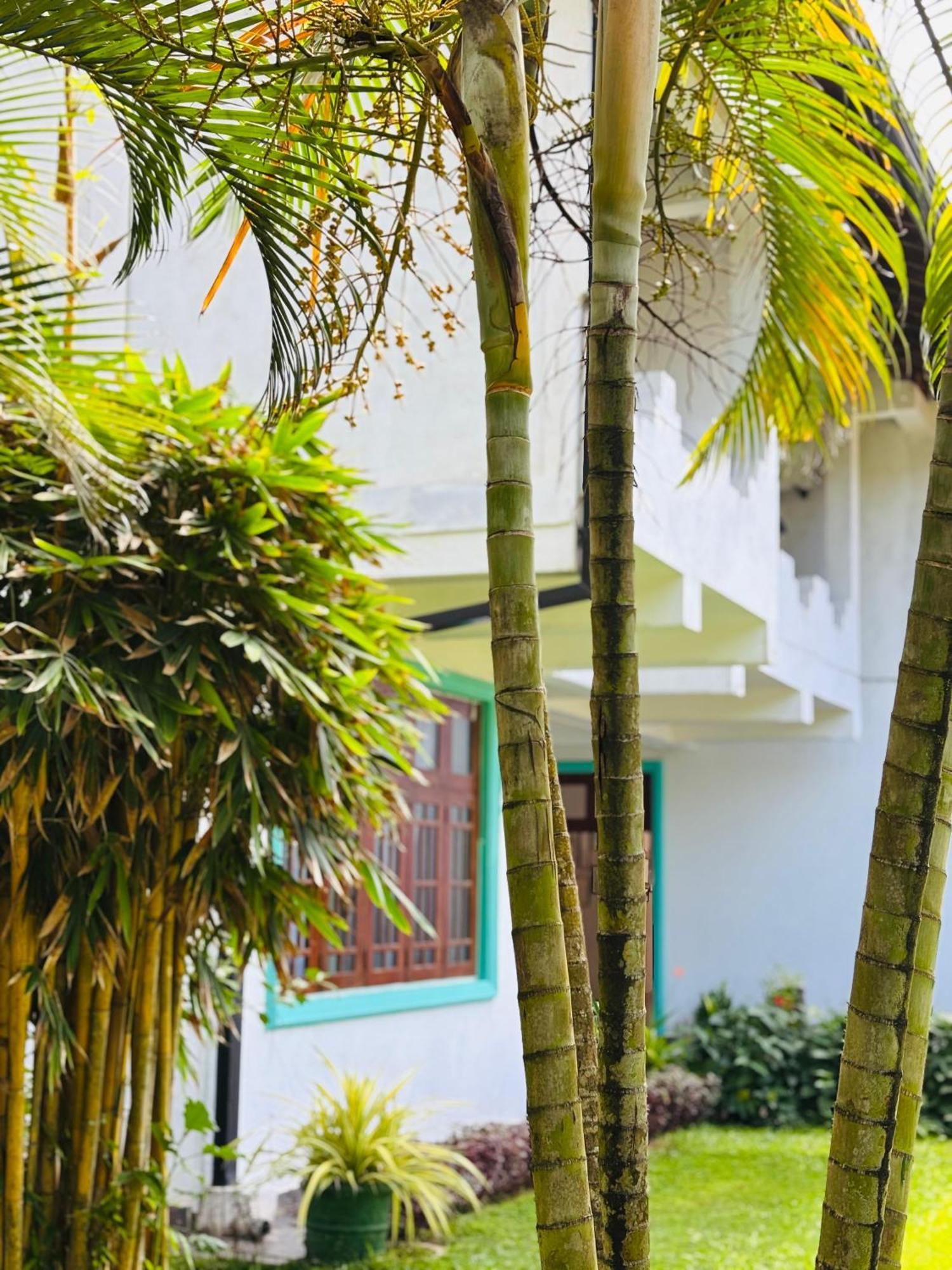 Balance Beach Resort Диквела Екстериор снимка