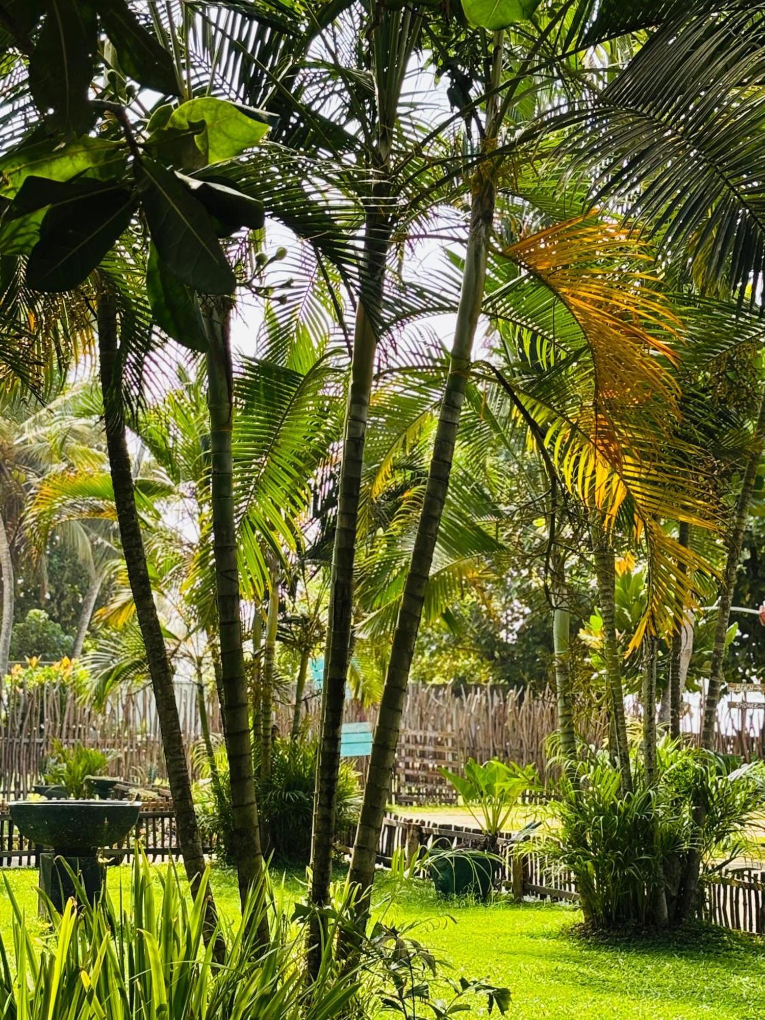 Balance Beach Resort Диквела Екстериор снимка